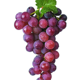 BC SomeTimeOfFall EL (15).png