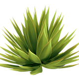 BC SomeTimeOfFall EL (12)