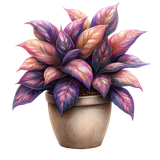 BC SomeTimeOfFall AI EL (78)