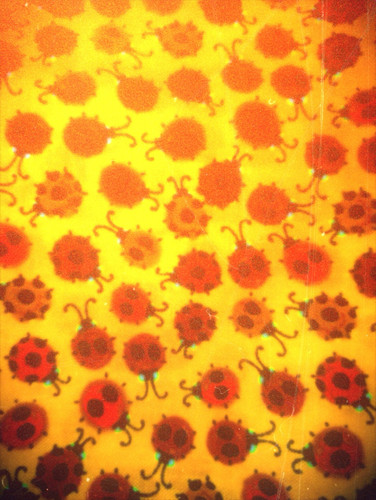 C75FD680 F2CC 4F1D BA3A 1F3AF7AB6821.jpg