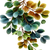 AI Kit SafariLove 225