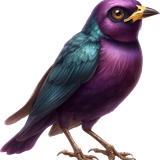 AI Kit SafariLove 070