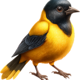 AI Kit SafariLove 073