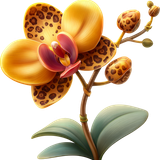 AI Kit SafariLove 201