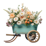 BC Special Love AI EL (18)