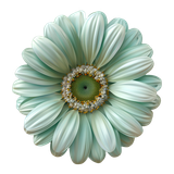 BC Special Love AI EL (96)