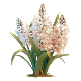 BC Special Love AI EL (99)