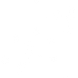 BC Special Love EL (4)