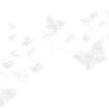 BC Special Love EL (23)