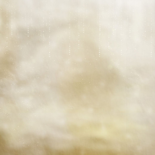 BC SpecialLove PP (2).jpg