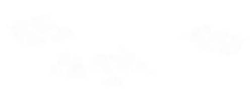 BC Special Love EL (11).png