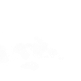 BC Special Love EL (11)