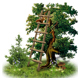 BC Special Love EL (15)