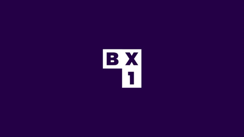 BX1 Logo.jpg