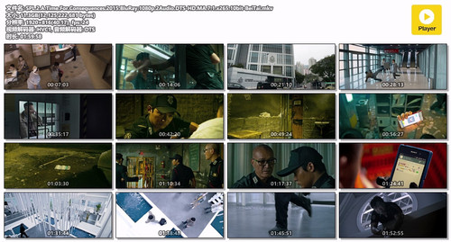 SPL.2.A.Time.For.Consequences.2015.BluRay.1080p.2Audio.DTS HD.MA.7.1.x265.10bit BeiTai.mkv.jpg