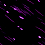 backgroun jep (1).gif