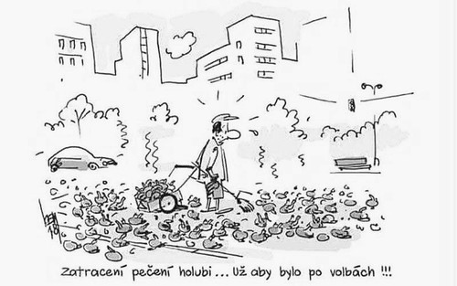 obrázek 2025 10 01 162728174.jpg