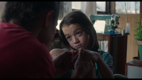 20.000.Species.of.Bees.2023.1080p.Blu ray.Remux.AVC.TrueHD.5.1 CiNEPHiLES.0:31:55.png