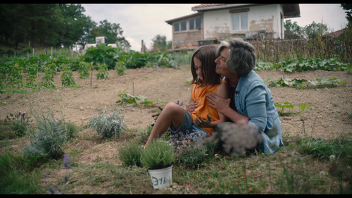 20.000.Species.of.Bees.2023.1080p.Blu ray.Remux.AVC.TrueHD.5.1 CiNEPHiLES.1:03:51.png