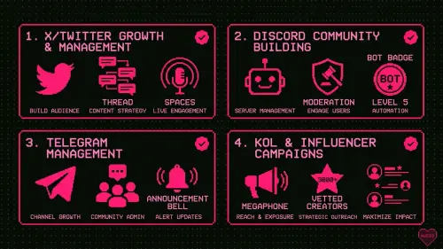 csm 03 services.webp