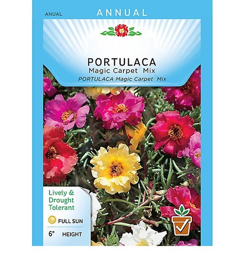 Carpet Mix Moss Rose g.jpg