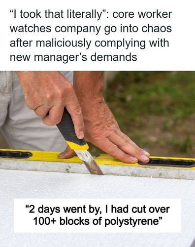 general manager orders cut polystyrene small squares priority malicious compliance.jpg