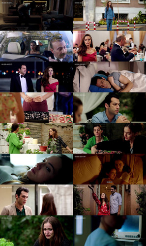 IMG 20260318 165412 312.jpg