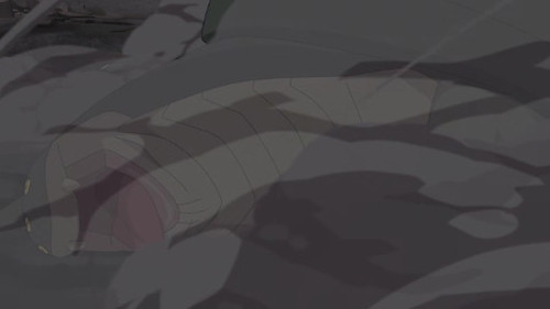 e44871dbfb41.jpg
