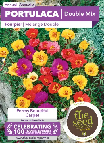 portulaca grandiflora doubles mix.webp