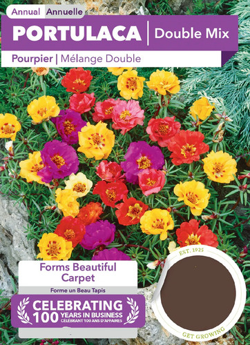 portulaca grandiflora doubles mix.jpg