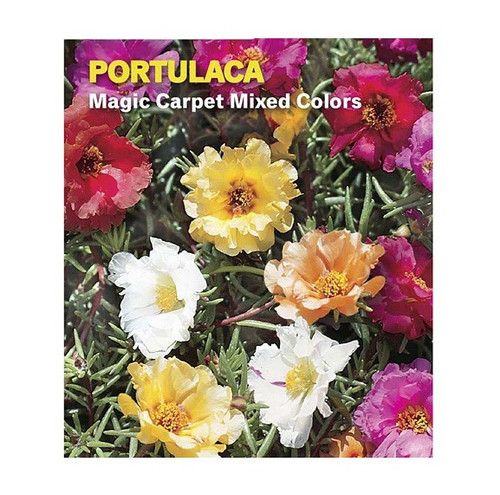 0004153031484 1 A1 C1.jpg