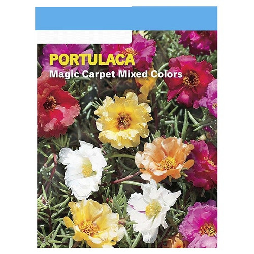 0004153031484 1 A1 C1 0600.jpg