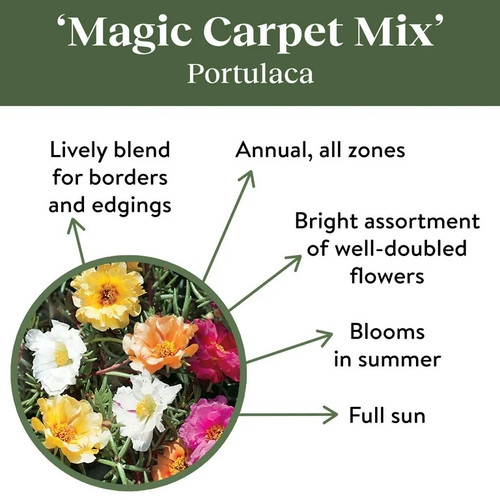 010536f2 c160 48fd 8e.jpg