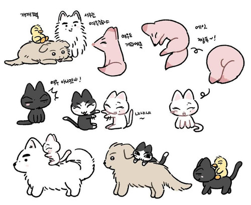 IMG 20260318 214801 627.jpg