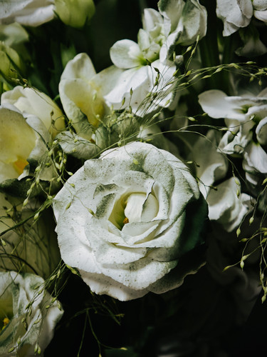 IMG 20260308 231911.jpg