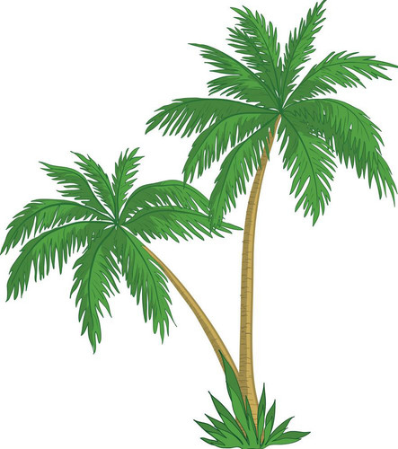 spring break south padre.jpg