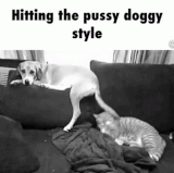 doggystyle.gif