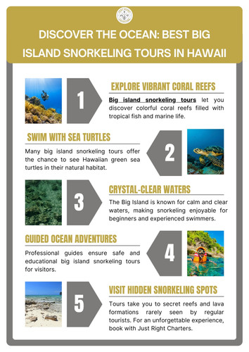 Discover the Ocean: Best Big Island Snorkeling Tours in Hawaii.jpg