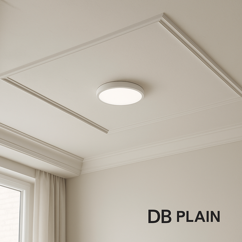 Ceiling Lifestyle.png