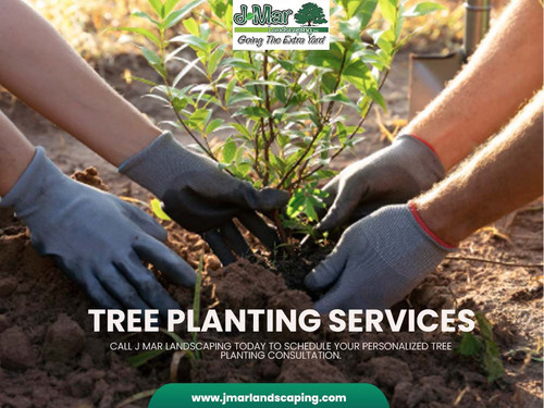 Tree Planting Services.jpg