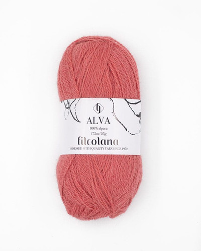 361 Madeira rose.jpg