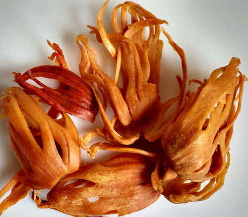 mace javitri 617452 l.jpg