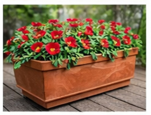 Deep Red Moss Rose17.jpg