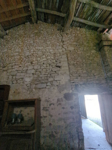 IMG 20260308 171617 693.jpg