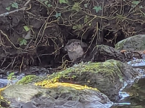 chrome 2026 03 18 17 43 53.jpg