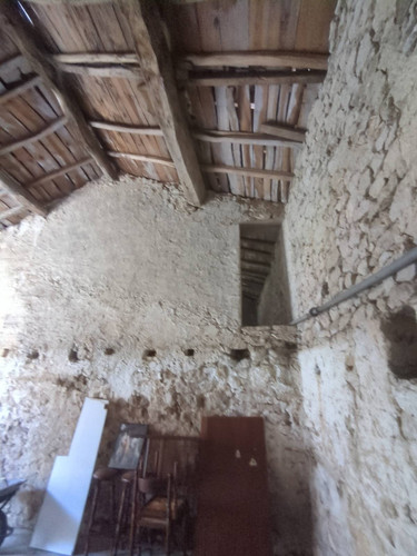 IMG 20260308 171521 368.jpg