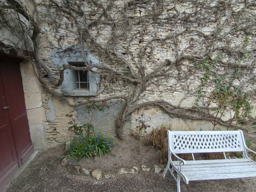 IMG 20260308 171228 052.jpg