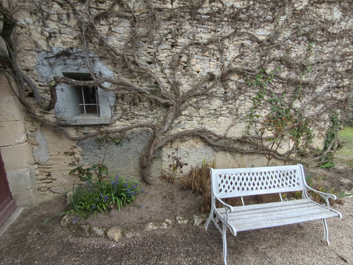 IMG 20260308 171230 753.jpg