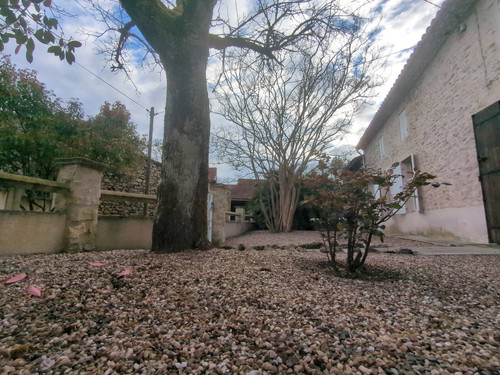 IMG 20260308 170851 347.jpg