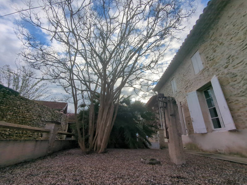 IMG 20260308 170832 741.jpg